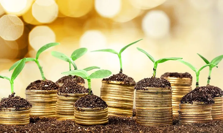 Larry Zhou Successfully Represented a Tech Start-up in its Equity Financing Deal