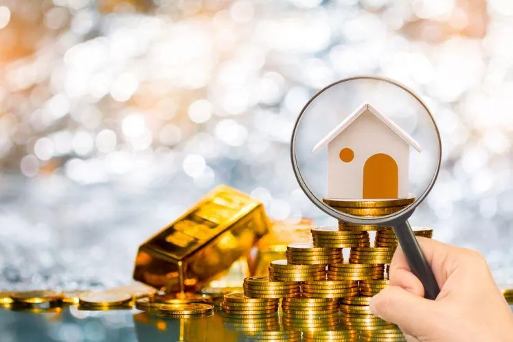 investigate the asset information