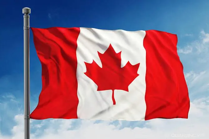 Lawyer Avon Successfully Resolved Canadian Company's Dispute with Chinese Factory, Recovered Payment