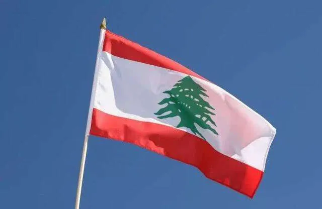 Attorney Abby Wang and Larry Zhou Represented a Lebanese Client to Get Refund by Court Settlement