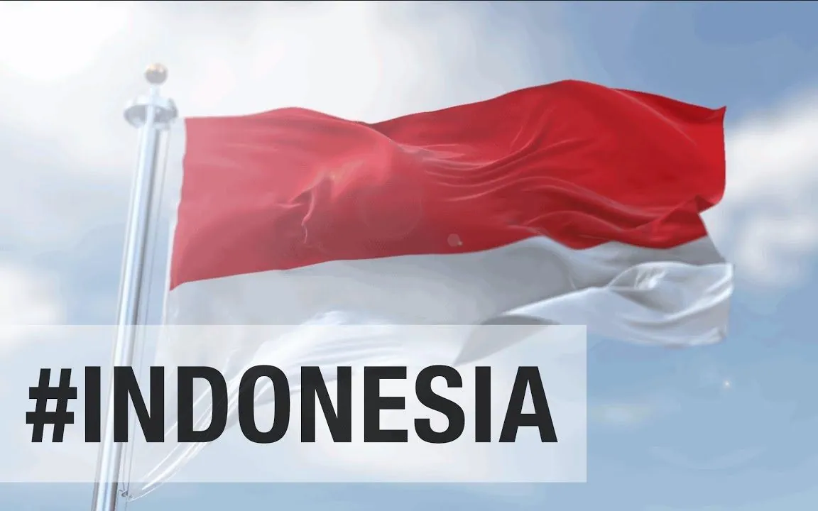 Larry Zhou Successfully Represented an Indonesian Company to Recover Payment from a Chinese Buyer