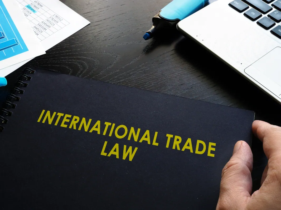International Trade Dispute Case: Liability Entities for Shipping Delays and Shippers' Obligation to Mitigate 